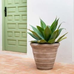 Treasure Selena Planter - Chalk Beige -Plants Sale Store Treasure Selena Planter Chalk Beige Lifestyle 1