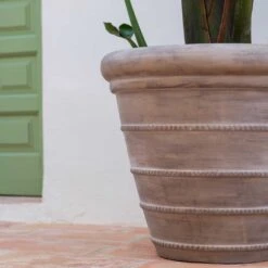 Treasure Selena Planter - Chalk Beige -Plants Sale Store Treasure Selena Planter Chalk Beige Lifestyle 2