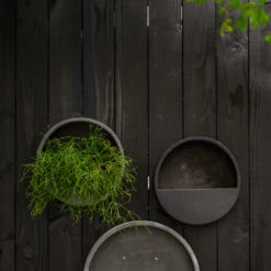 Wally Natural Wall Planter - Black -Plants Sale Store WallyNaturalWallPlanter Black 4