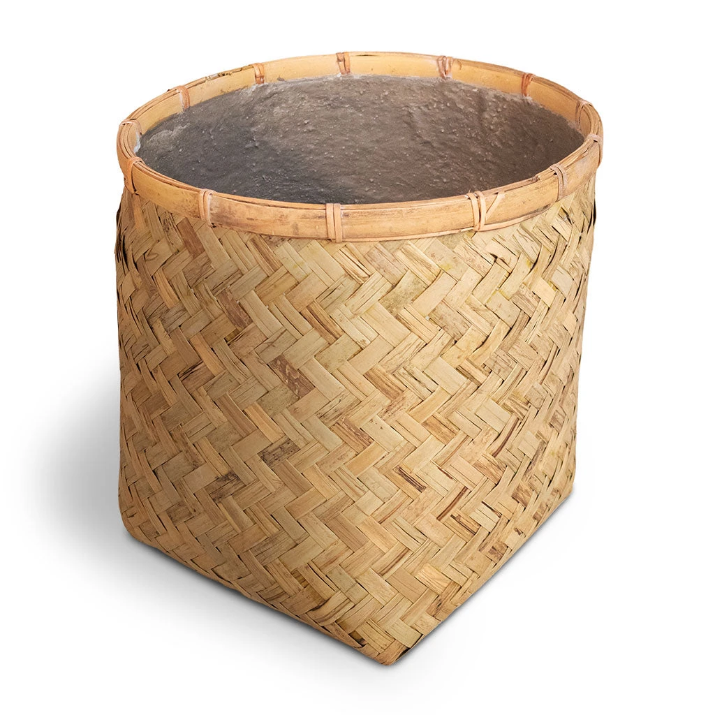 Zayn Bamboo Planter 10 Zayn Bamboo Planter - Image 8