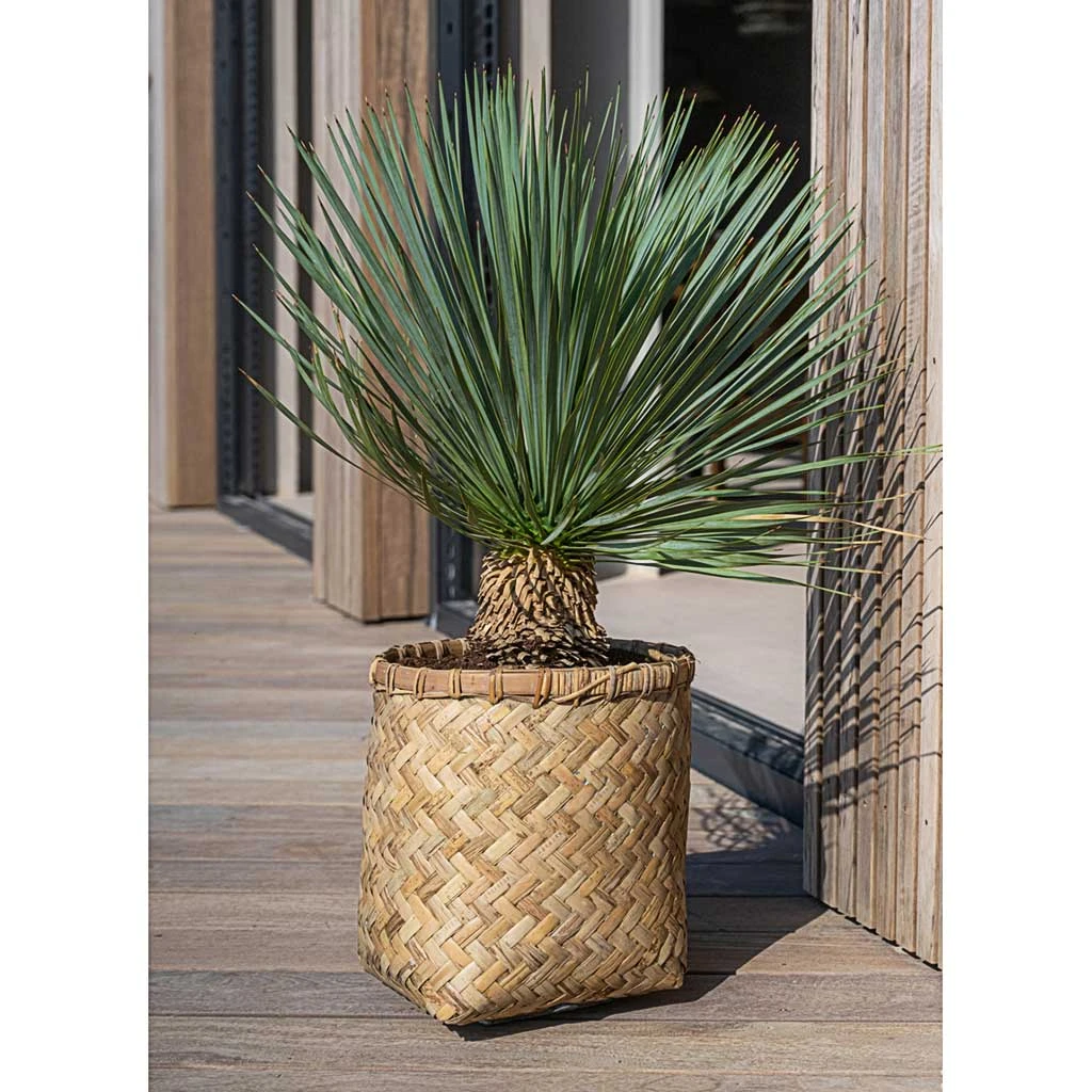 Zayn Bamboo Planter 8 Zayn Bamboo Planter - Image 6