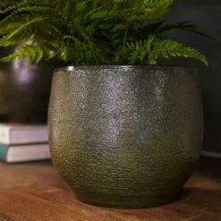 Zembla Plant Pot - Green 31 Zembla Plant Pot - Green -Plants Sale Store Zembla Plant Pot Collection Fern
