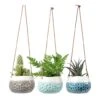 Baby Dotty Hanging Indoor Pot Trio -Plants Sale Store baby dotty hanging plant pots trio