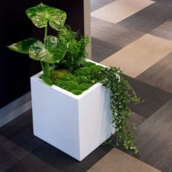 Block Essentials Planter - Matt White -Plants Sale Store block planter essential matte white indoor plants cube