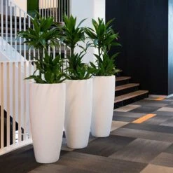 Dax Essentials Tall Planter - Matt White -Plants Sale Store dax planter essential matte white open plan office