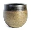 Mya Plant Pot - Deep Champagne 1 Mya Plant Pot - Deep Champagne -Plants Sale Store mya deep champagne plant pot 26cm