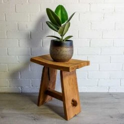 Mya Plant Pot - Deep Champagne 29 Mya Plant Pot - Deep Champagne -Plants Sale Store mya deep champagne plant pot Ficus elastica Robusta