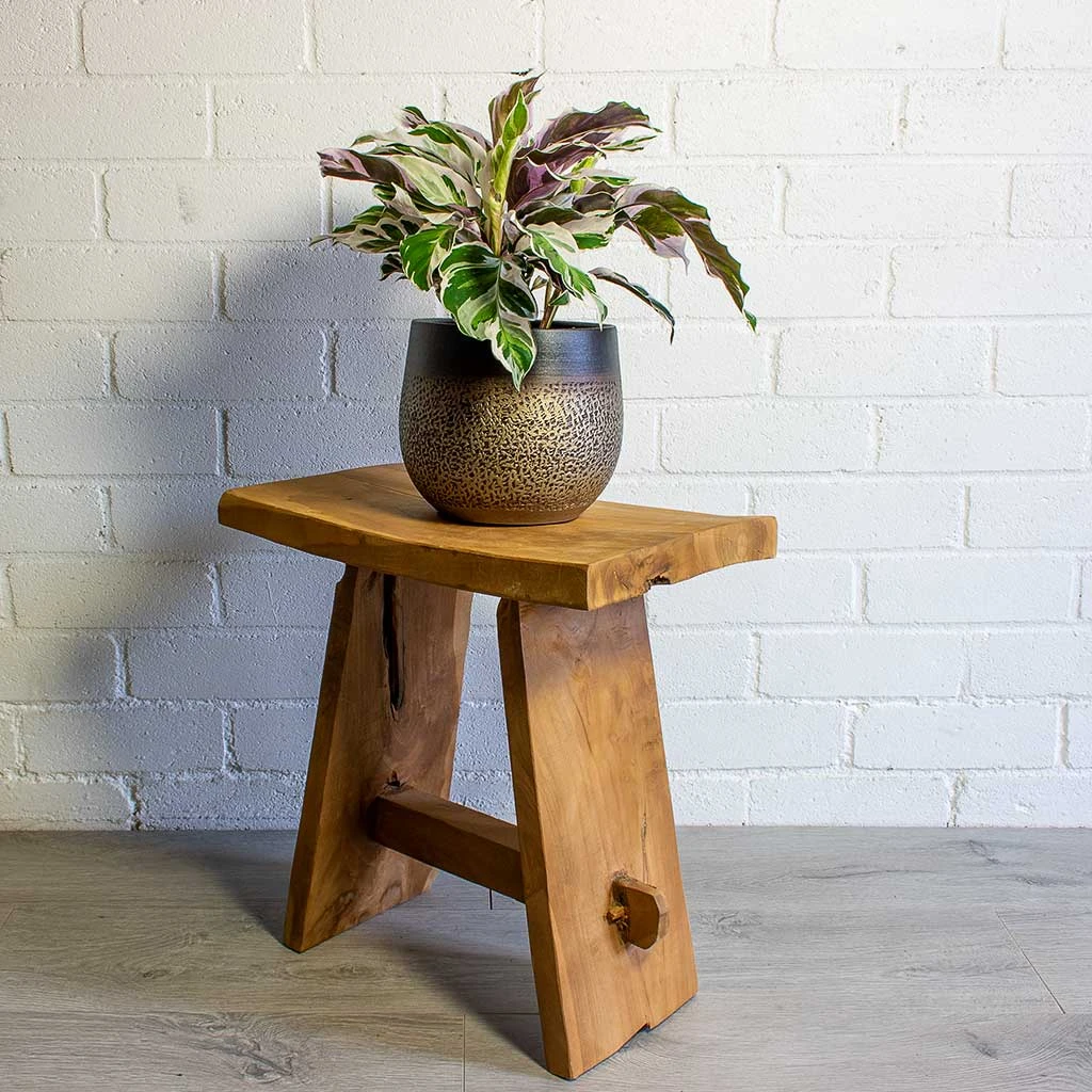 Mya Plant Pot - Deep Champagne 7 Mya Plant Pot - Deep Champagne - Image 5