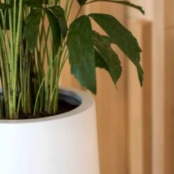 Nax Essentials Tall Planter - Matt White -Plants Sale Store nax planter essential matte white edge