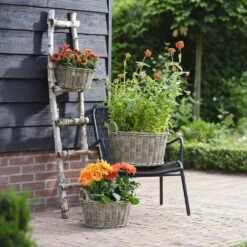 Paula Wikr Plant Baskets - Set Of 4 - Natural -Plants Sale Store paula wicker plant baskets set of 4 natural lifestyle 001