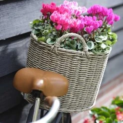 Paula Wikr Plant Baskets - Set Of 4 - Natural -Plants Sale Store paula wicker plant baskets set of 4 natural lifestyle 002