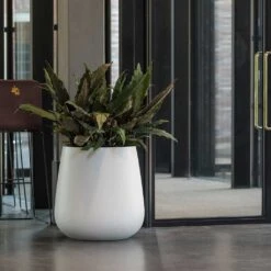 Pax Essentials Planter - Matt White -Plants Sale Store pax planter essential matte white office plants