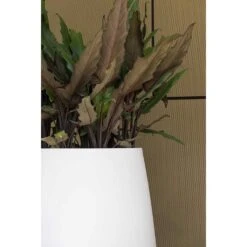 Pax Essentials Planter - Matt White -Plants Sale Store pax planters essential matte white clos up