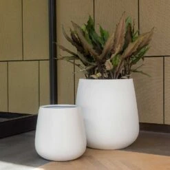 Pax Essentials Planter - Matt White -Plants Sale Store pax planters essential matte white office plants