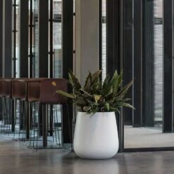 Pax Essentials Planter - Matt White -Plants Sale Store pax planters essential matte white office reception plants