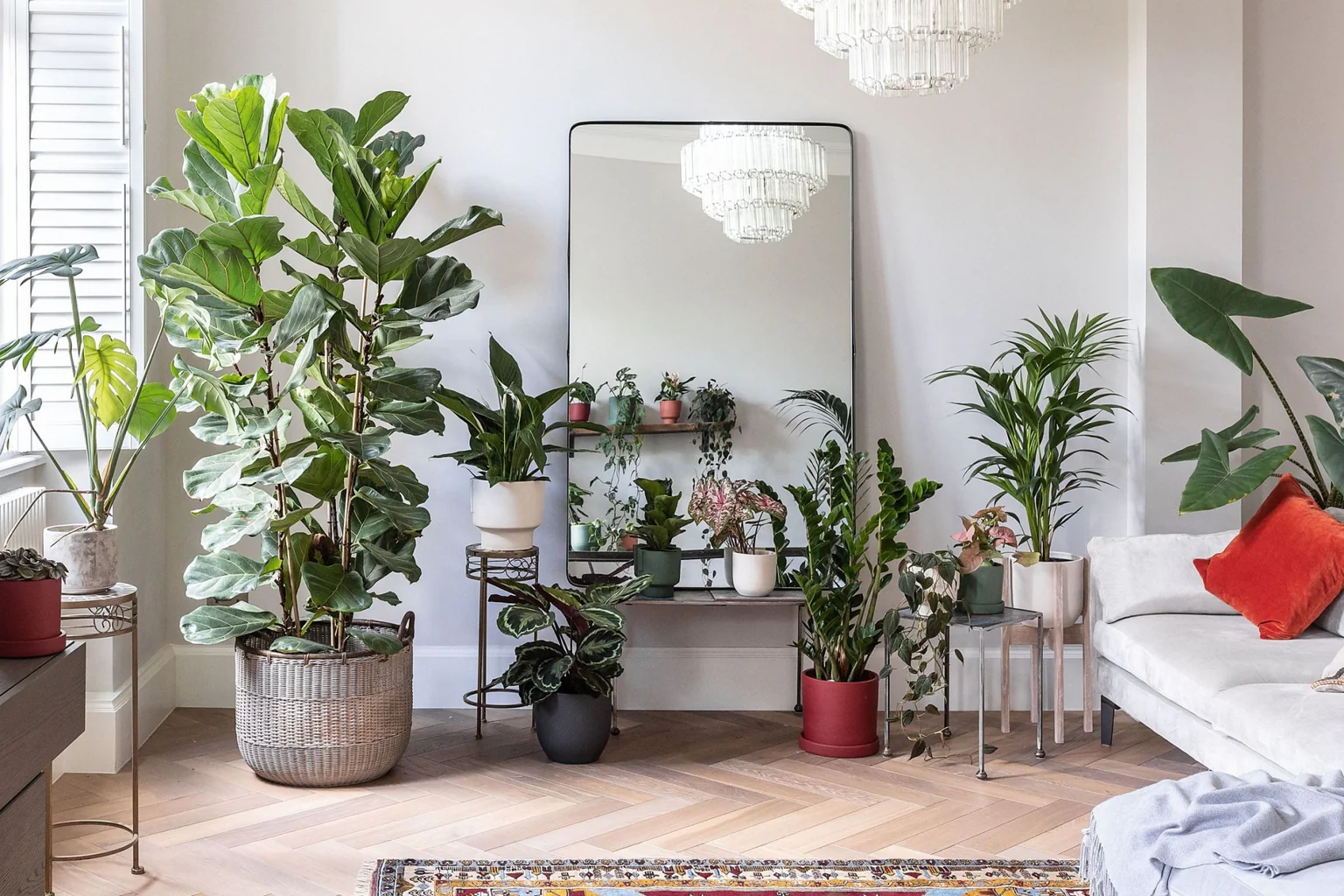 Plants Sale Store -Plants Sale Store 5 reasons why you should style your home with plants