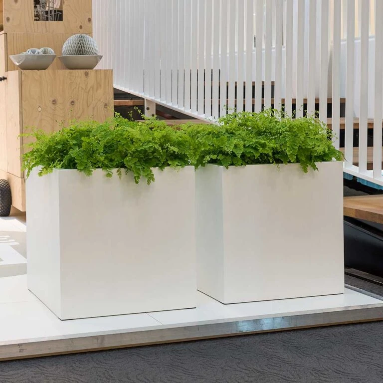 Plants Sale Store -Plants Sale Store block planters essential matte white indoor ferns 768x768 1